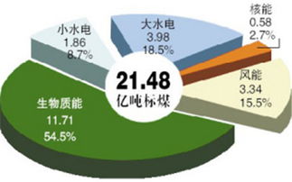 燃料颗粒相比煤炭更具优势 木屑颗粒机升级成为环保产品